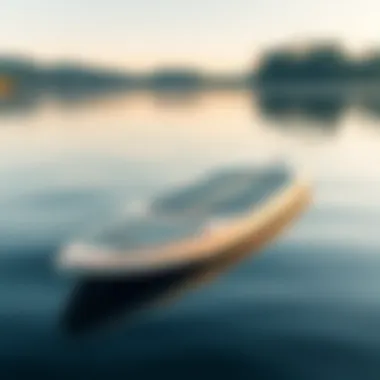 Sleek Design of the 12-Foot Paddleboard A beautifully crafted 12-foot paddleboard resting on a serene lake, showcasing its sleek design.