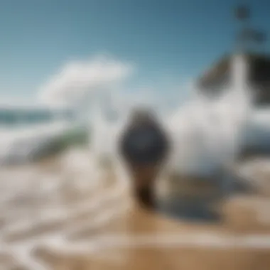 Classic Designs from Leading Surf Watch Brands Classic surf watch designs across different brands.