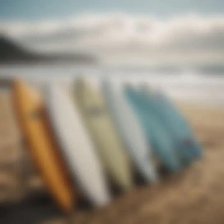 Close-up of surfboards leaning against a scenic beach backdrop