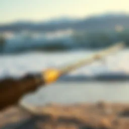 High-quality surf rod on the beach