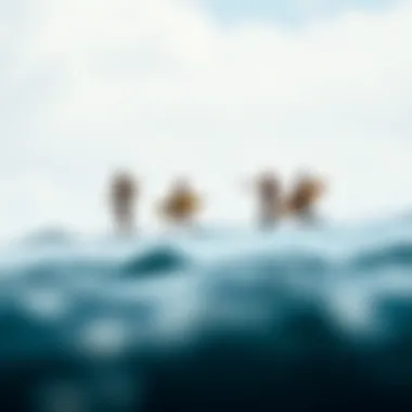 Surfing through Time: The Legacy of Olo Alaia Historical depiction of surfers riding waves using Olo Alaia boards