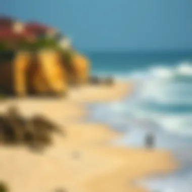 A picturesque beach showcasing different surf conditions