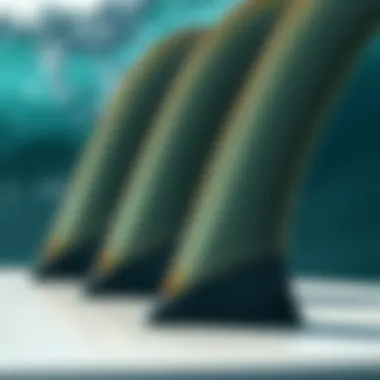 Surfboard Fin Structure Close-up view of surfboard fins highlighting their structure