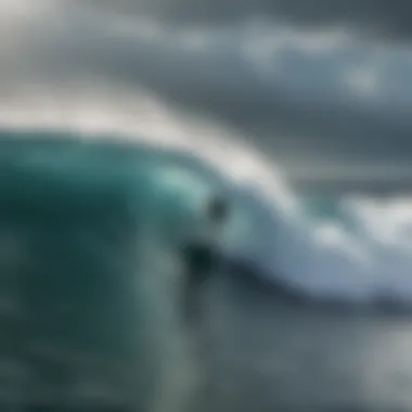 Notable Exploring the Shark Shield Freedom7: Enhancing Safety for Surfers Notable Exploring the Shark Shield Freedom7: Enhancing Safety for Surfers