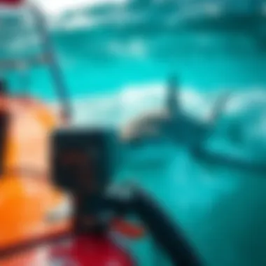 Close-up of a shark tracking device on a research boat