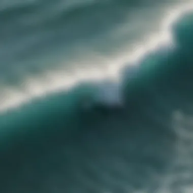 An aerial view of a foil boarder catching waves