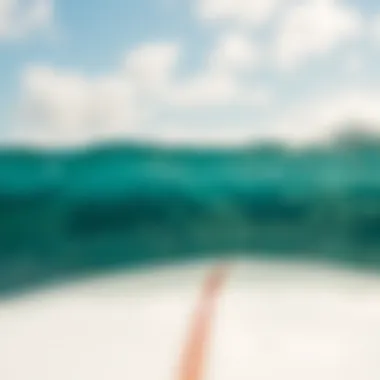 Detailed view of Surfboard SB 6121 showcasing its sleek design