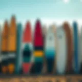 Diverse Lake Surfboard Designs A collection of lake surfboards showcasing different designs and colors