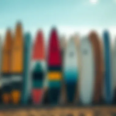 Diverse Lake Surfboard Designs A collection of lake surfboards showcasing different designs and colors