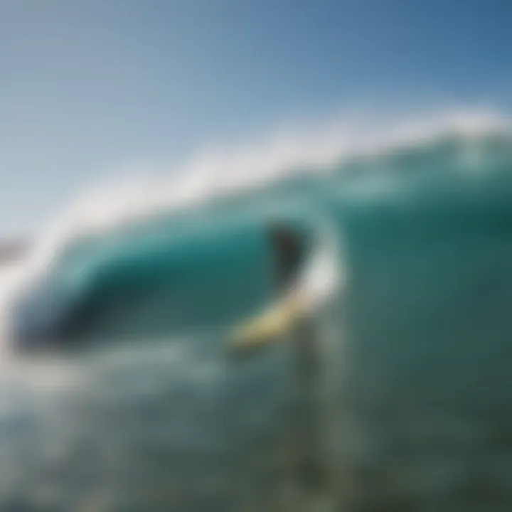 A local surf school providing lessons on the beach