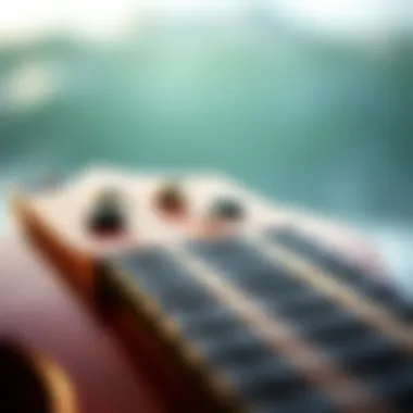 Close-up of ukulele strings and tuning pegs