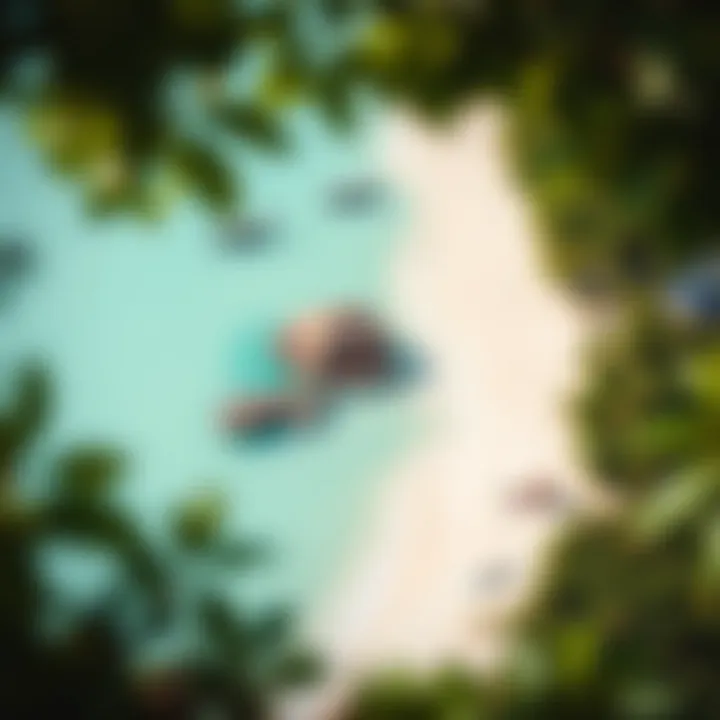 Aerial view of Vaadhoo Island showcasing its lush greenery and pristine beaches