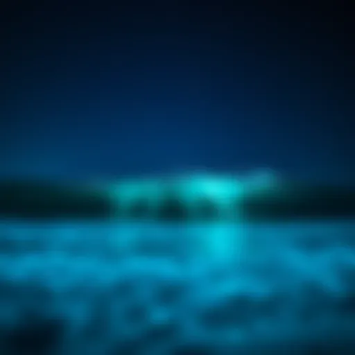 Stunning view of bioluminescent waves at Vaadhoo Island under a starry sky