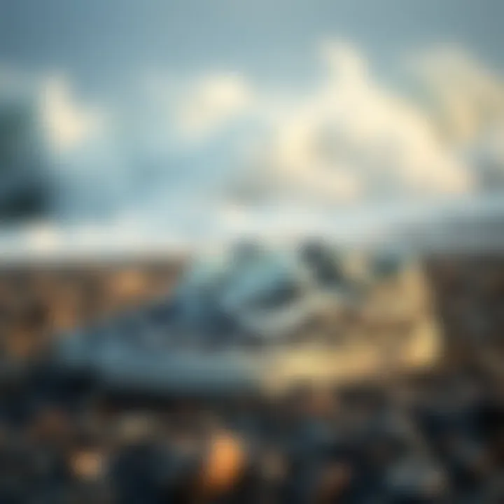 Vans Iconic Footwear Designs Vans shoe collection showcasing designs