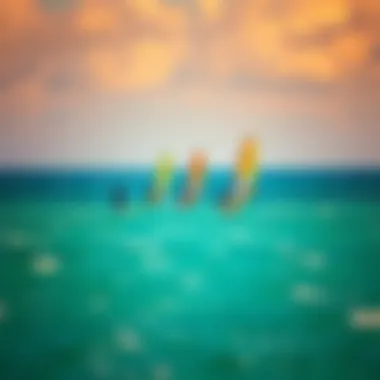 A group of windsurfers enjoying a day on the water