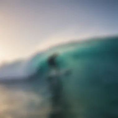 Holistic health practices in surf communities