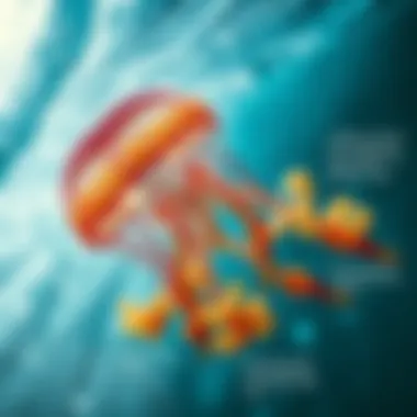 Understanding Jellyfish Venom Effects An infographic illustrating the effects of jellyfish venom