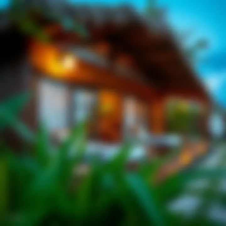 Comfortable Lodging in Paradise Cozy accommodations at Kima Surfcamp