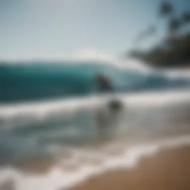 Local surfers discussing techniques on the beach