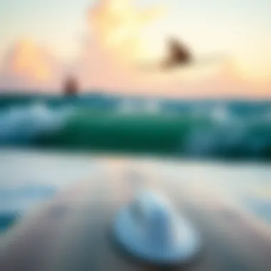 Longboard for Cruising