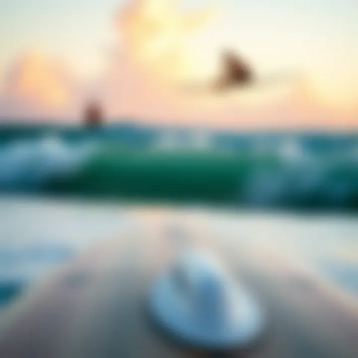 Longboard for Cruising