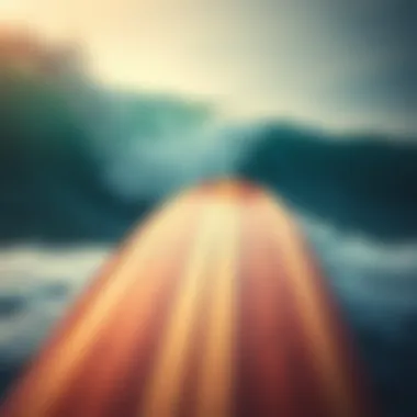 Diverse Longboard Designs