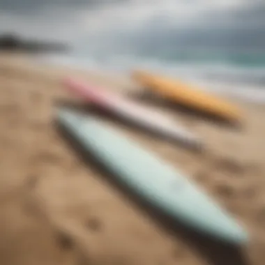 Diverse surfboards displayed on the beach