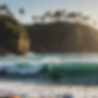 Group of surfers enjoying a vibrant local beach