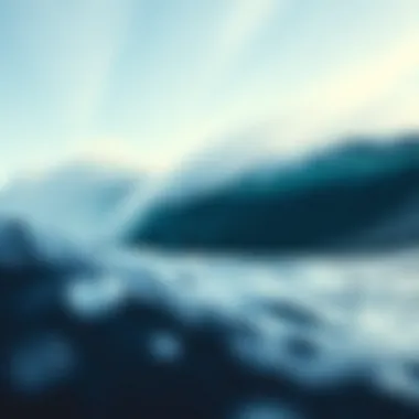 Building Mental Fortitude Mindfulness practice in nature to build mental resilience