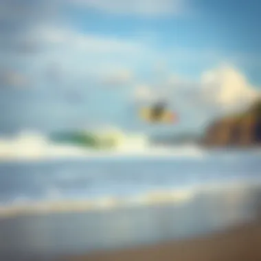 Surfing Paradise A tranquil beach setting ideal for big wave surfing