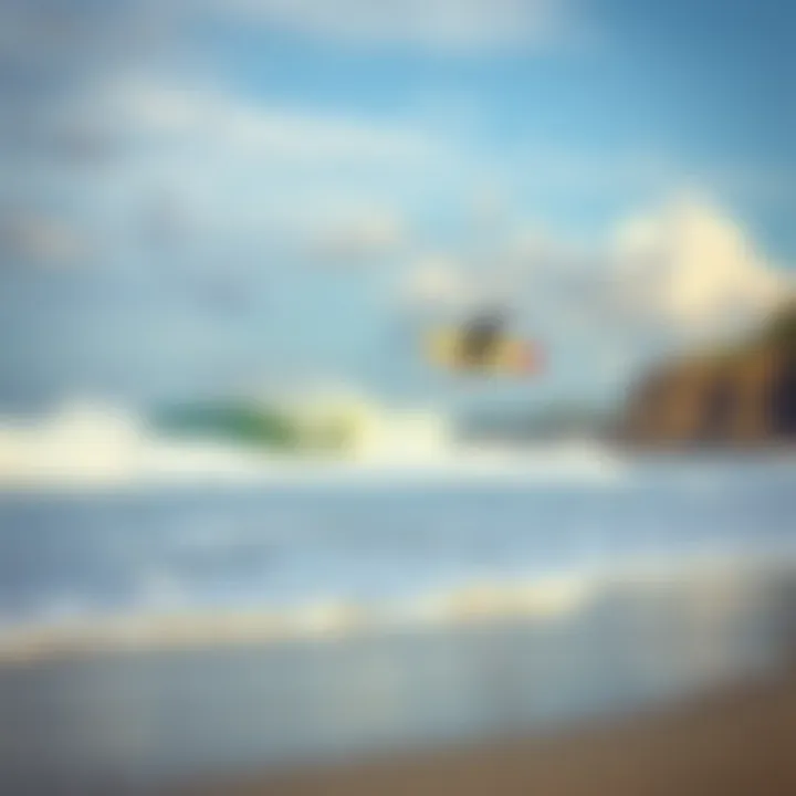 Surfing Paradise A tranquil beach setting ideal for big wave surfing