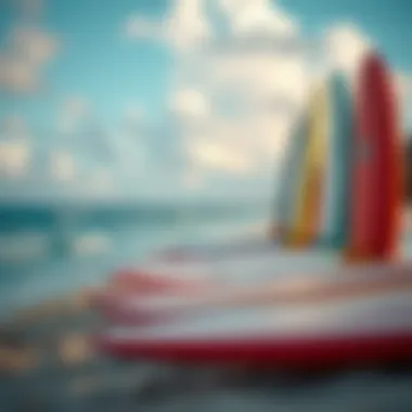 A close-up of surfboards lined up on the sandy beach of Puerto Rico