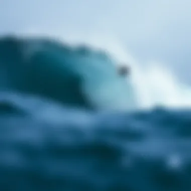 The physical dynamics of wave formation