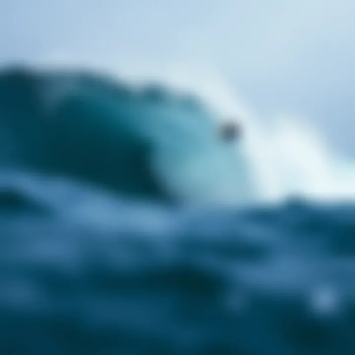 The physical dynamics of wave formation