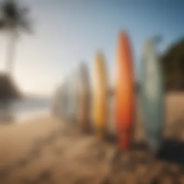 Surfboards lined up on the beach ready for action