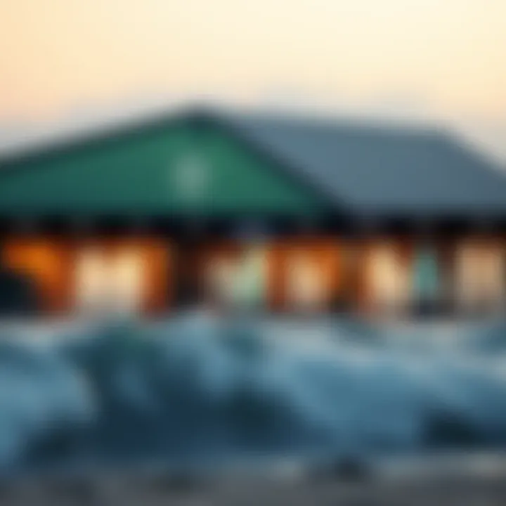 An organized online shopping interface for surfboards