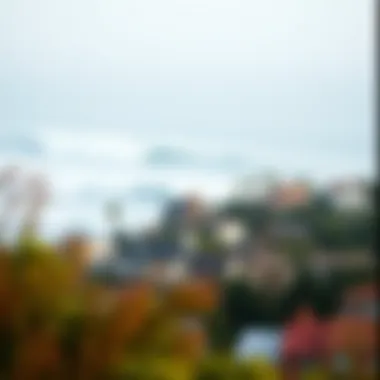 Coastal community view with waves in the background