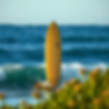 Comparative Analysis of Odysea Surfboard Comparison of Odysea surfboard with other popular surfboards