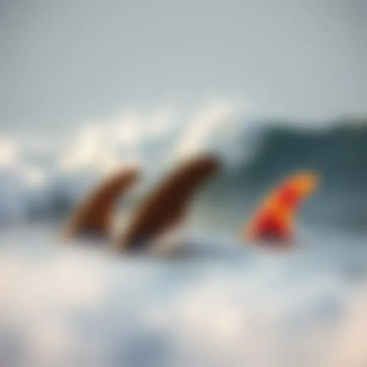 Illustration of Odysea fins in various surfing conditions