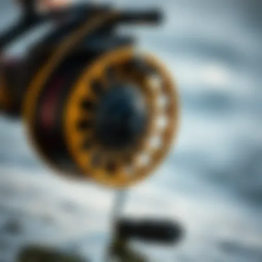 Close-up of a high-performance conventional reel ideal for surf casting