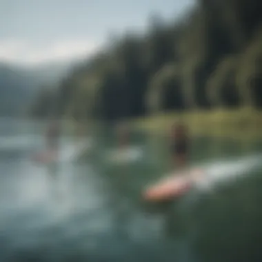 Paddle board in action on a tranquil lake, emphasizing performance.