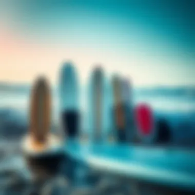 Variety of Paddleboard Types Different paddleboard types showcasing their shapes and sizes