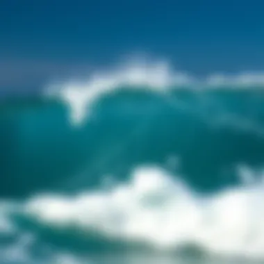 Effective Remedies for Blocked Ears An infographic outlining remedies for alleviating blocked ears