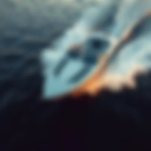 Sleek Wakesurfing Boat in Action A sleek wakesurfing boat cutting through the water