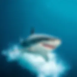 Majestic great white shark swimming gracefully in deep blue waters
