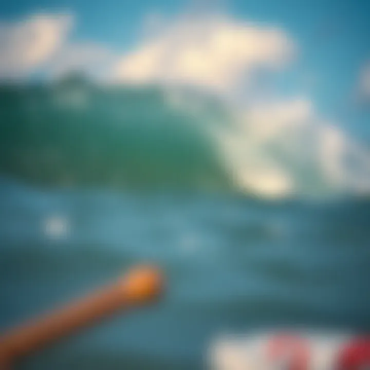 Understanding the Impact of Plastic Pollution A visual representation of the impact of plastic pollution