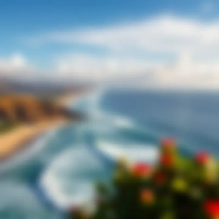 Aerial view of the iconic surf spot at Honolii Beach