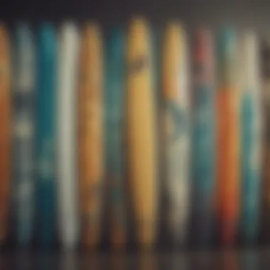 A collection of surfboards showcasing various shapes and designs