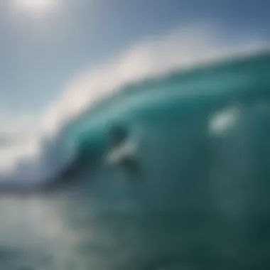 Surfer Riding the Waves of Cozumel A surfer catching a wave at Cozumel beach