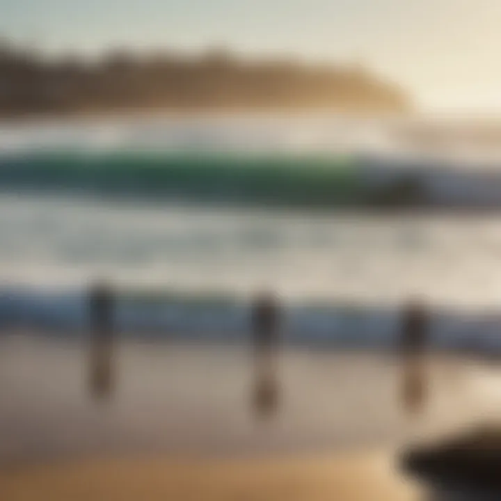 A group of surfers discussing techniques on the beach